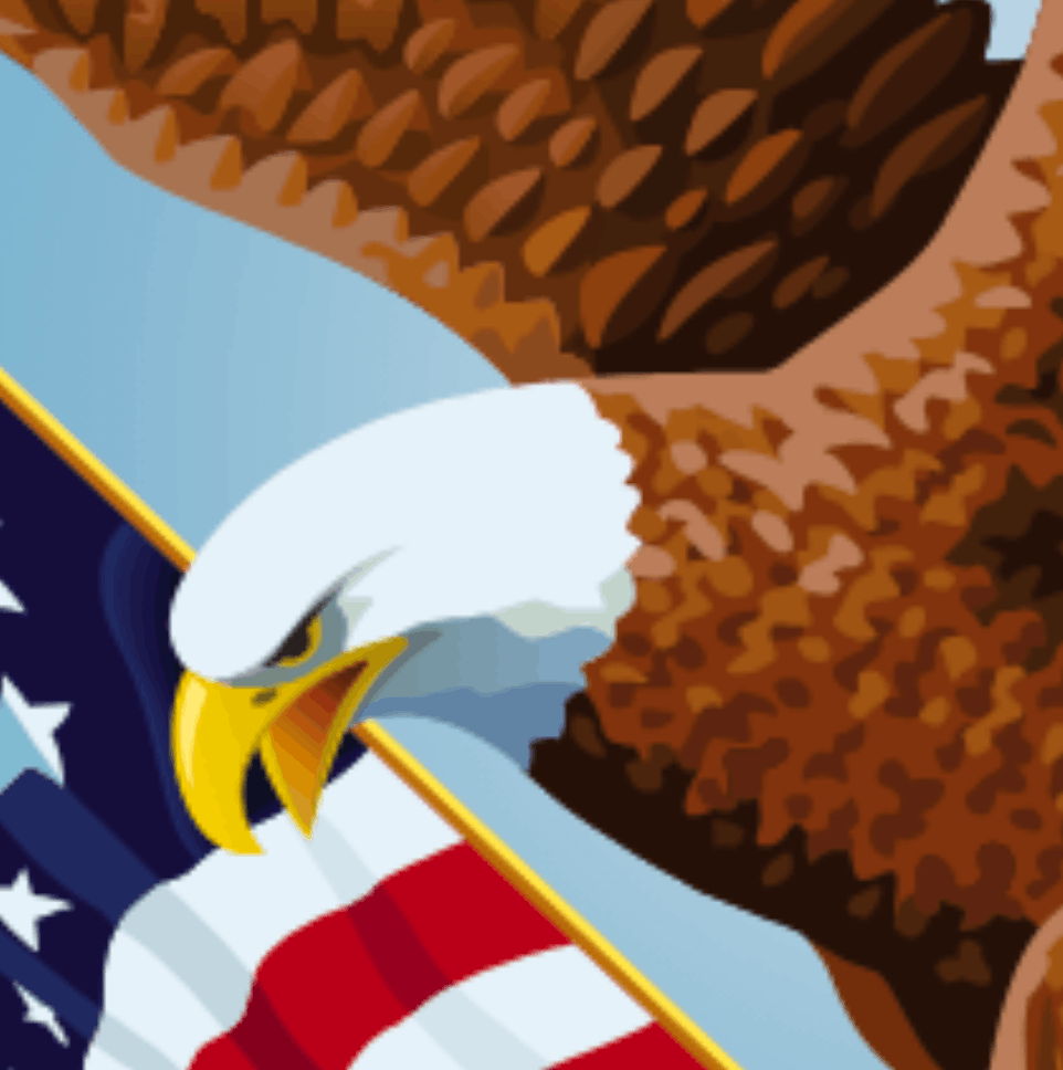 A closeup of a Bald Eagle in the current VA logo