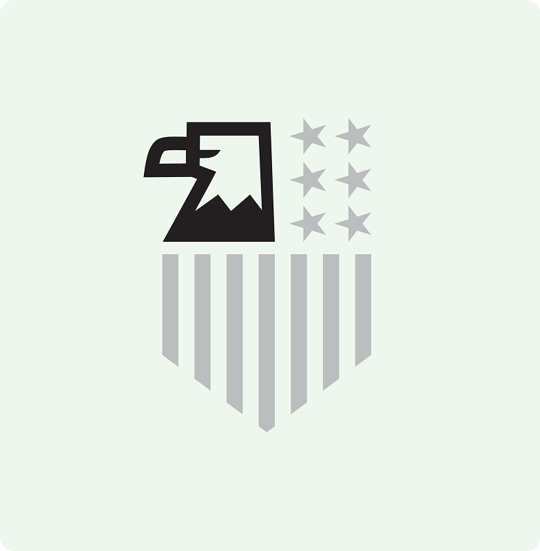 An image of the new VA logo with the Eagle head isolated