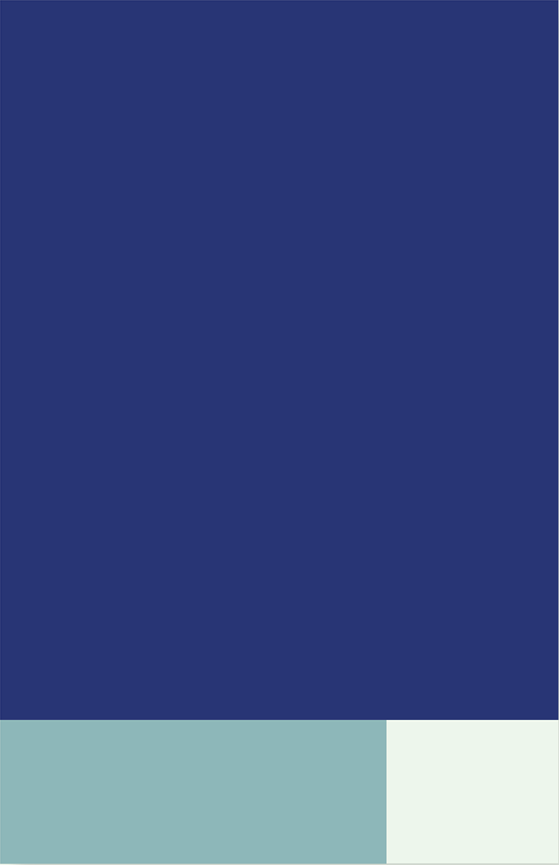 A color block grid for the VA rebrand, showing how the grid structure can be used