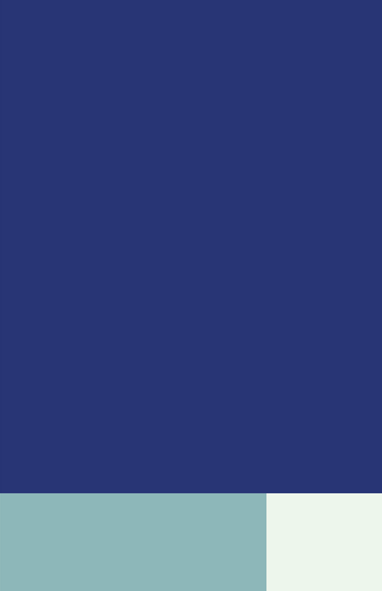 A color block grid for the VA rebrand, showing how the grid structure can be used