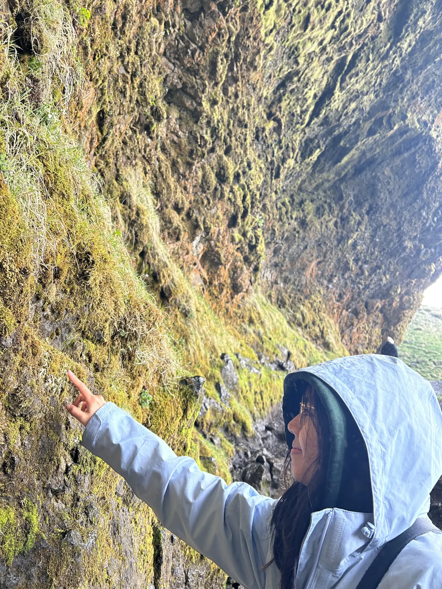 A student in a coat with a hood over their head, reaching out and touching green moss all over a stone wall in Iceland
