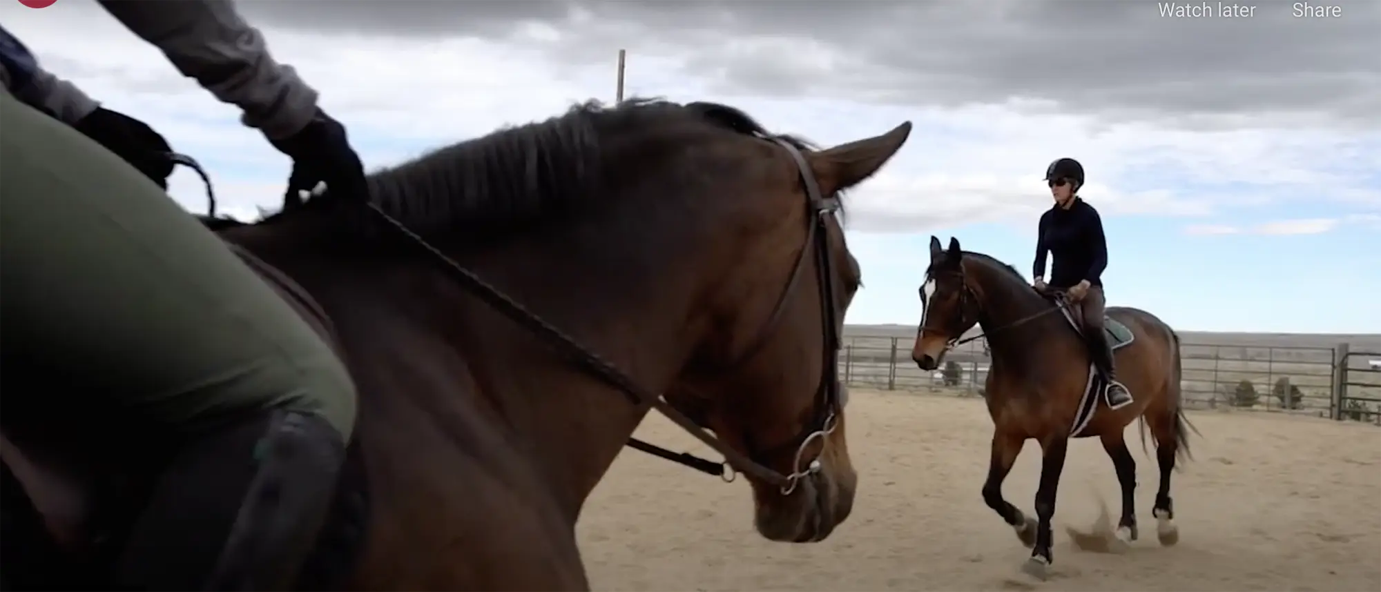 Two people riding horses, walking at one another