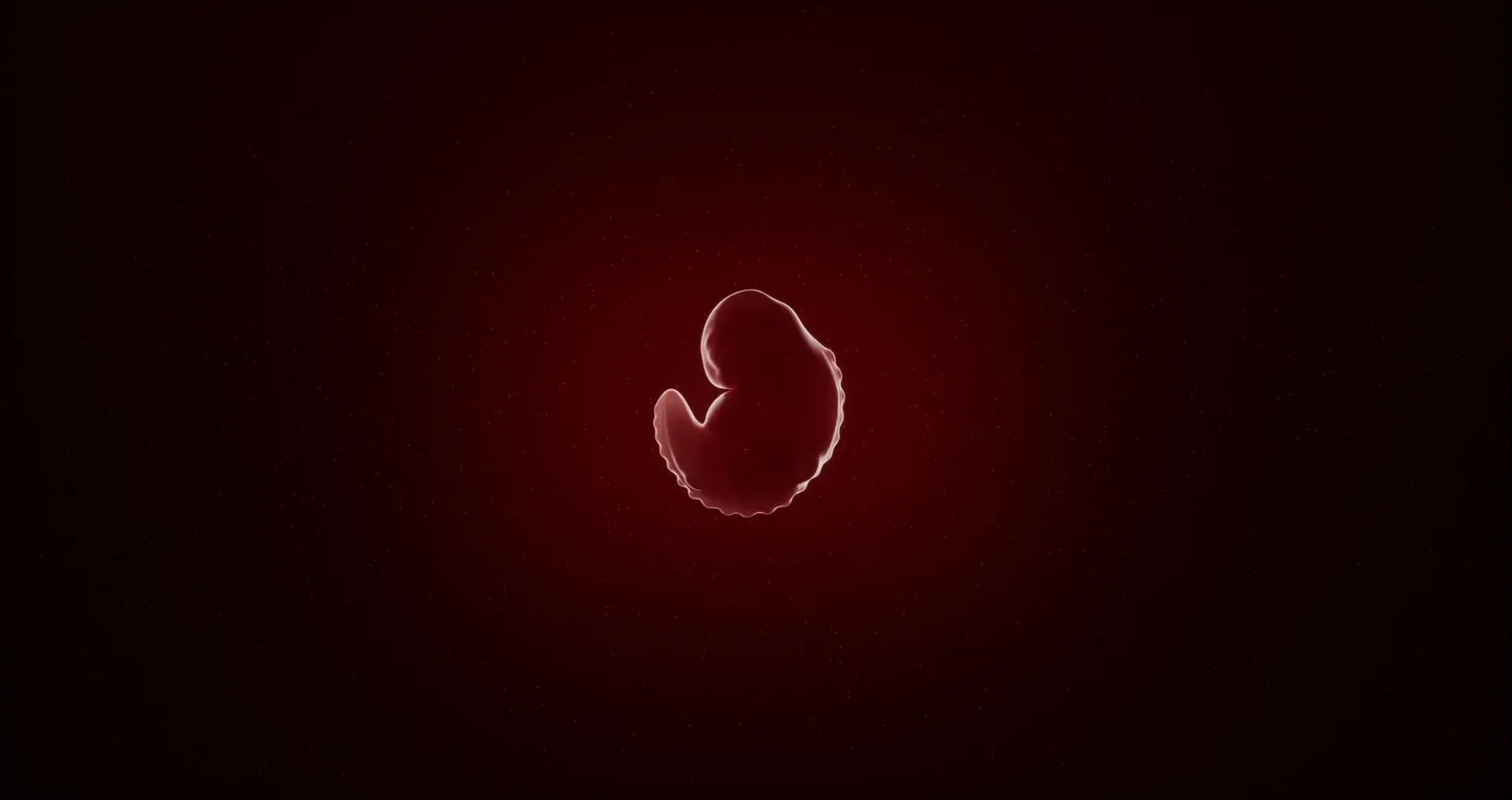 Film still from CGI/live action Molting: a fetus floats in a deep red void.