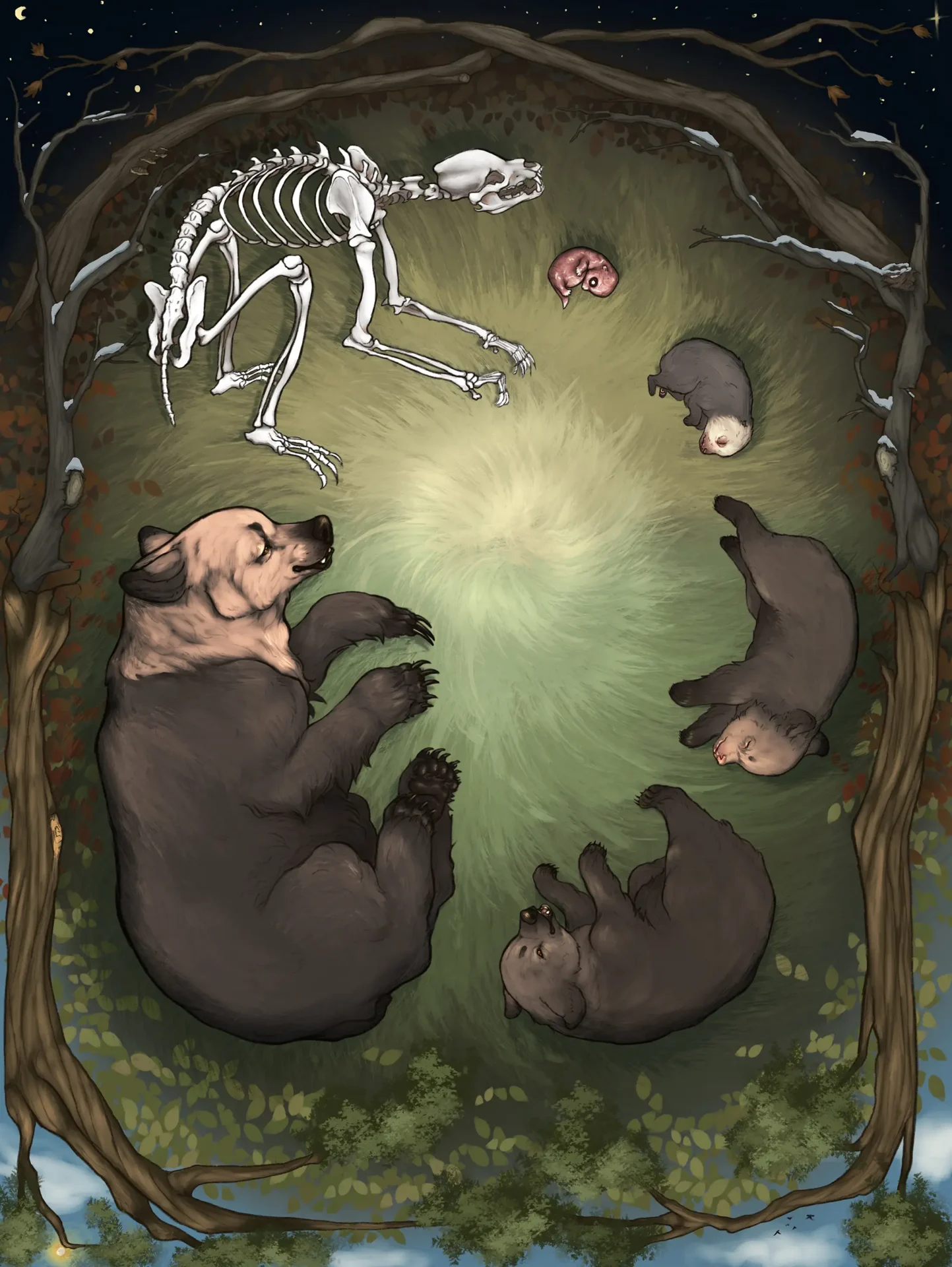 Illustration depicting the life cycle of a bear.