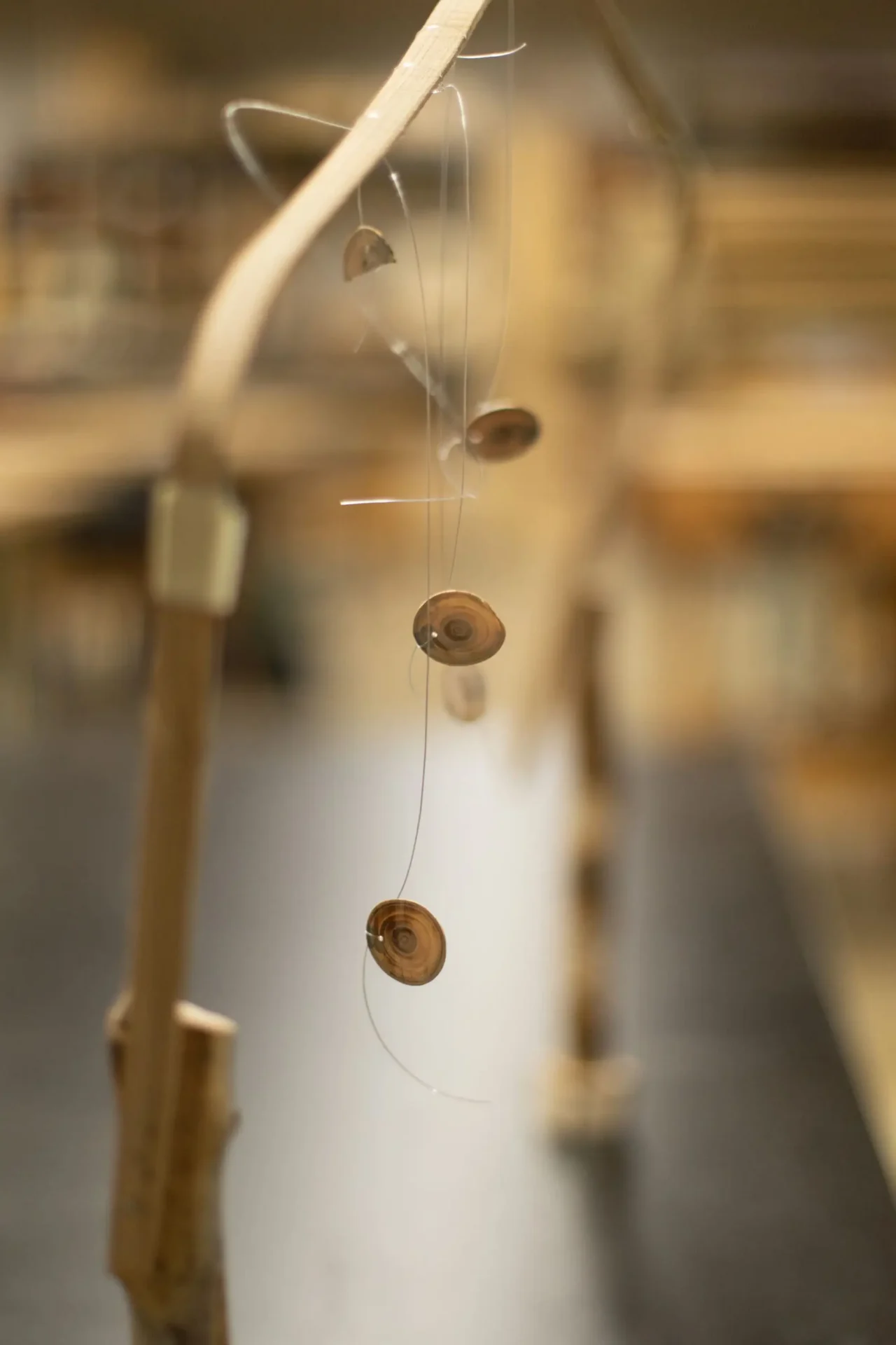 A closeup of a branch, with small wood discs hanging from it from the dtree proejct