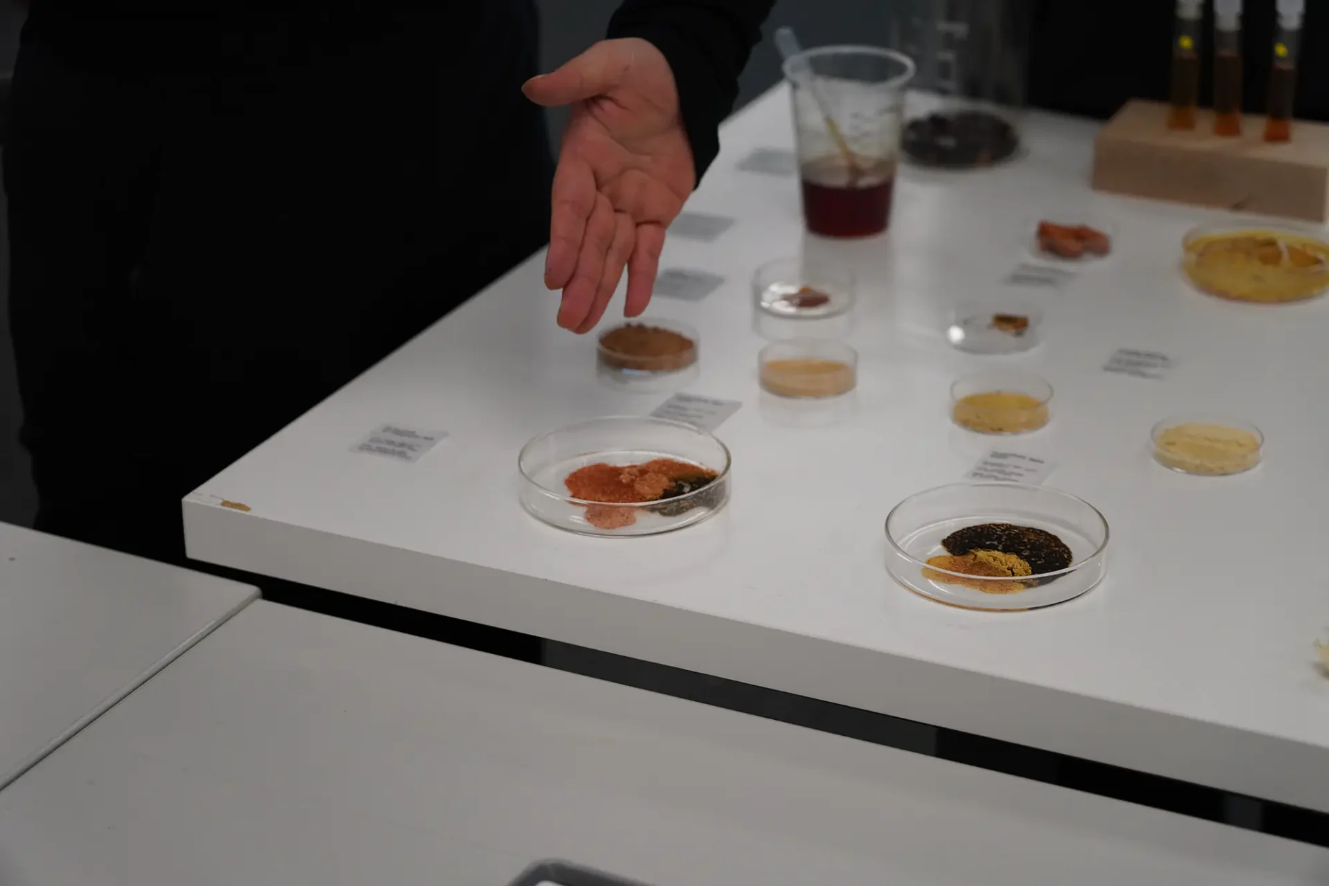 Biodesign project, packaging made from local food waste streams