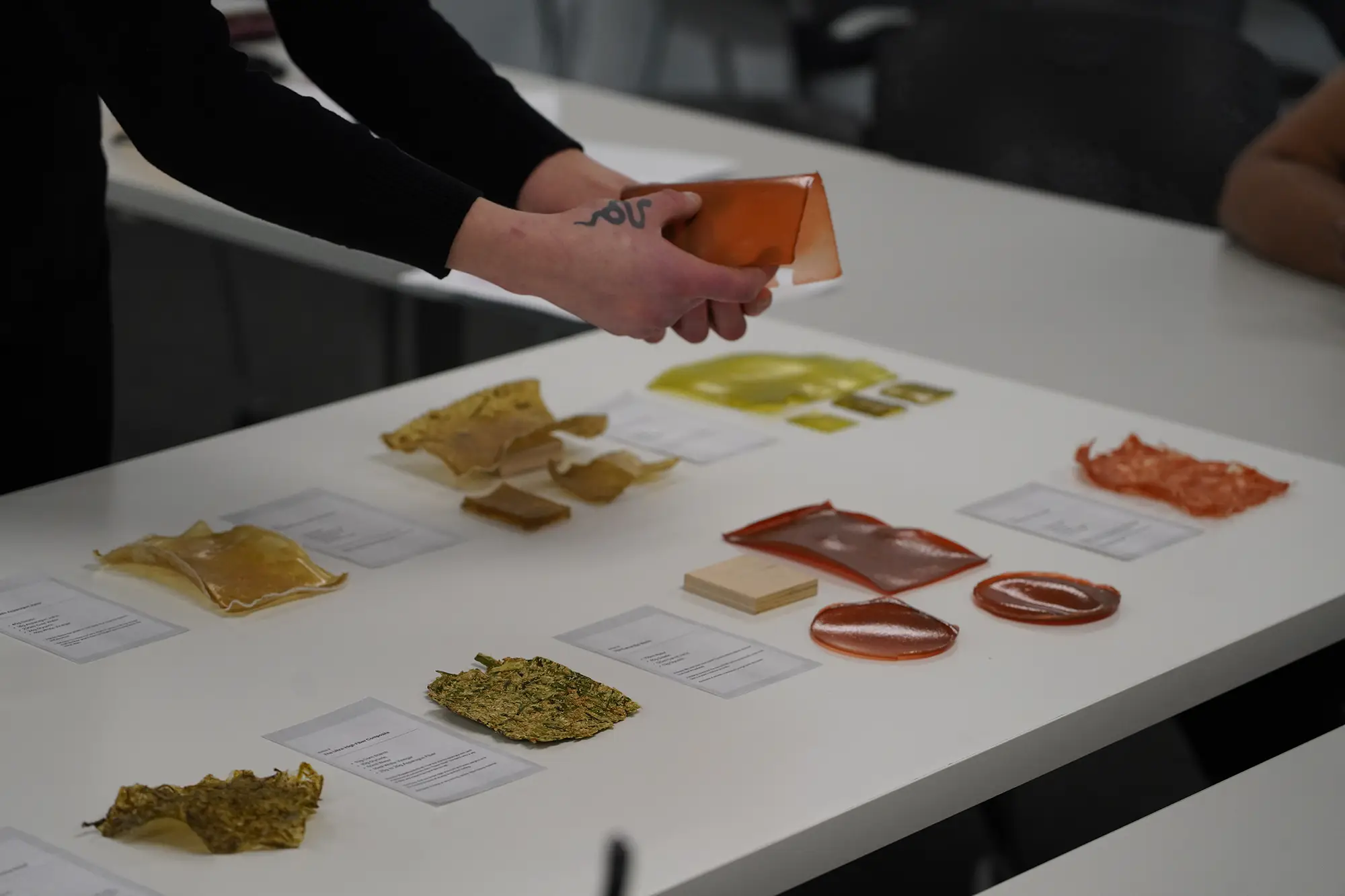 Biodesign project, packaging made from local food waste streams