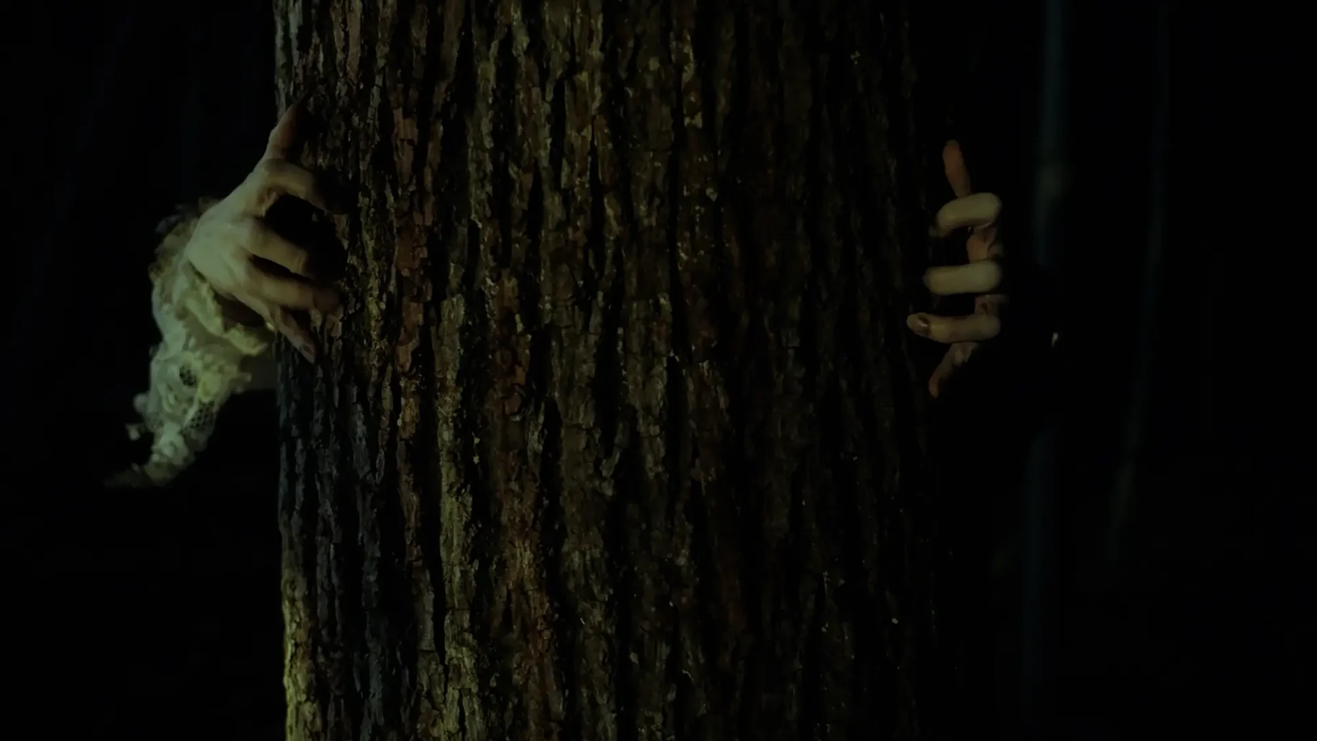 Close-up shot of the creepy hands around a tree trunk.