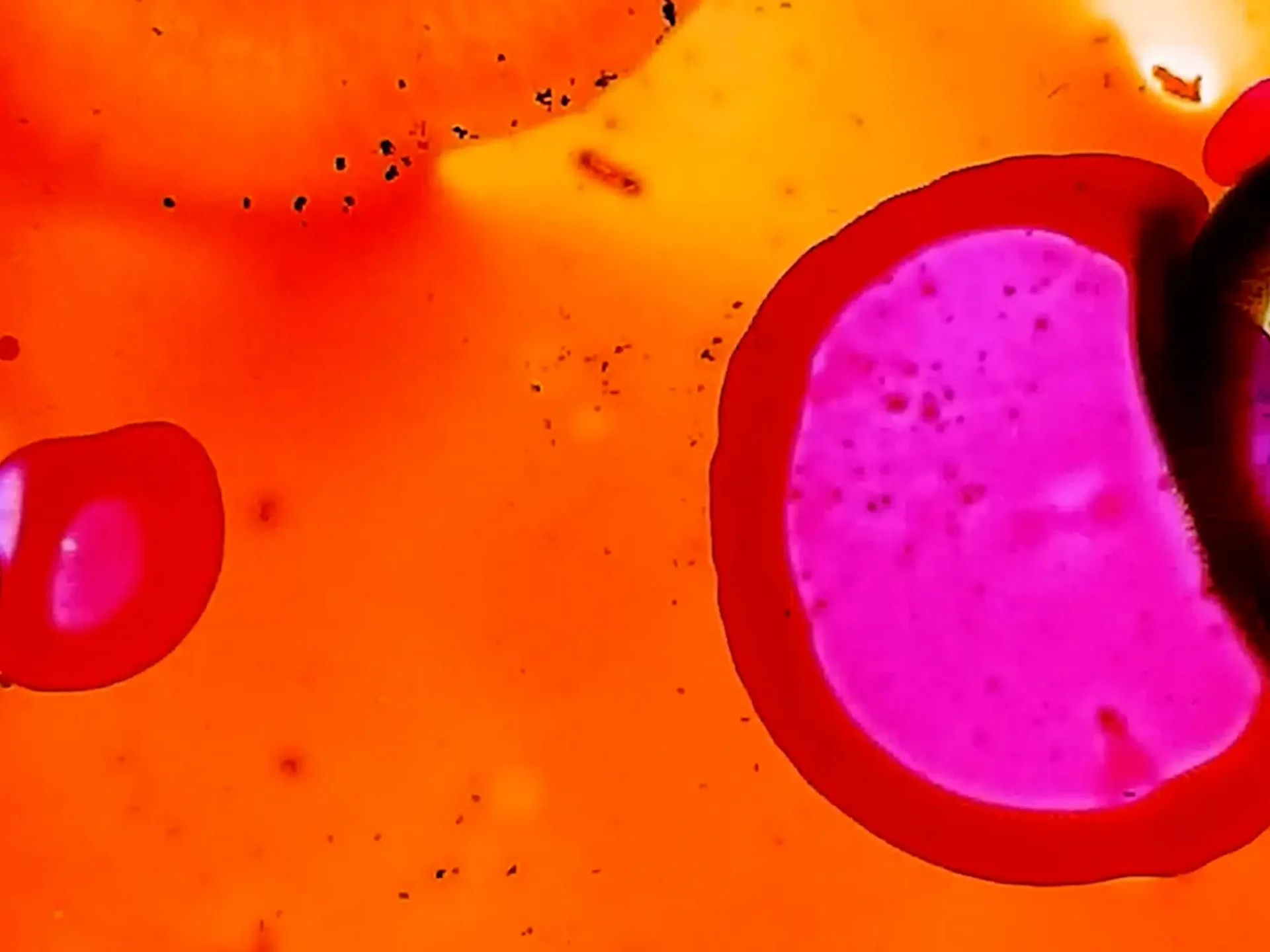 Film still from Super8 short: handpainted film abstraction.