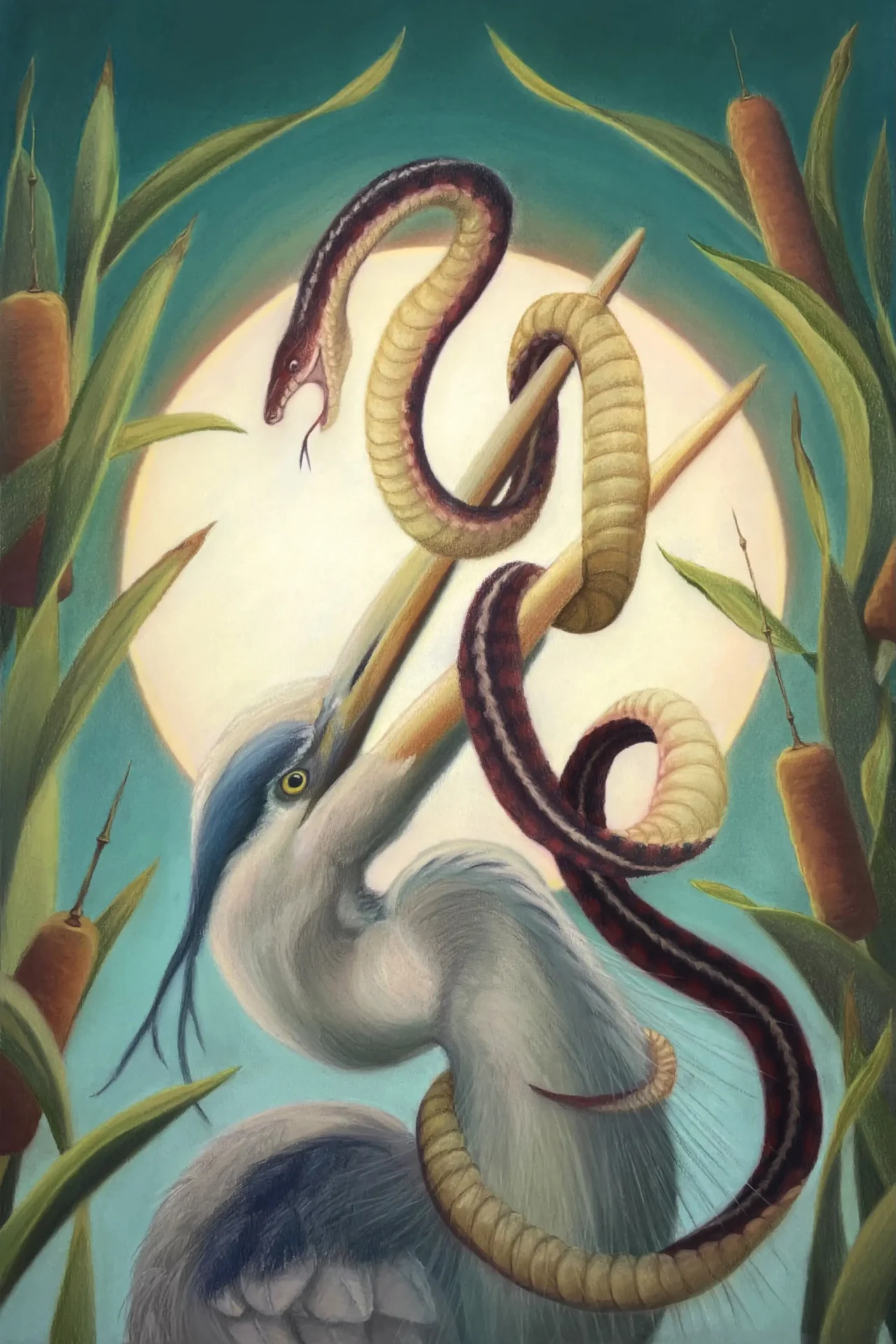 A heron stands by cat tail plants while holding a snake in its beak