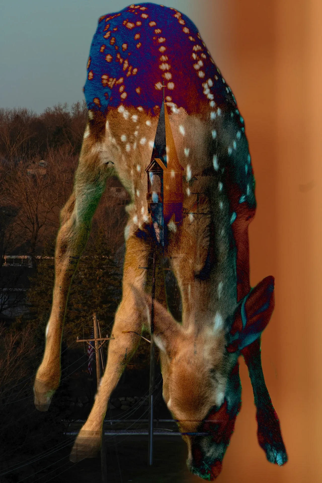 Abstracted color composite of deer overlaid on an aerial view of a church.