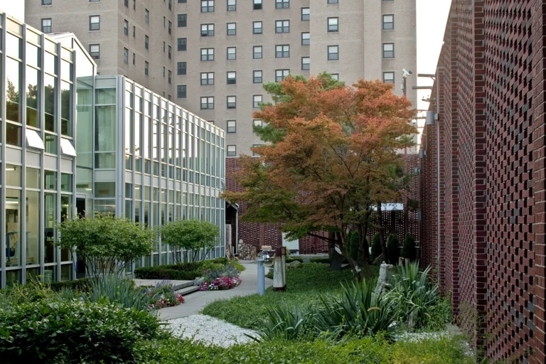 A garden behind the Yamasaki building