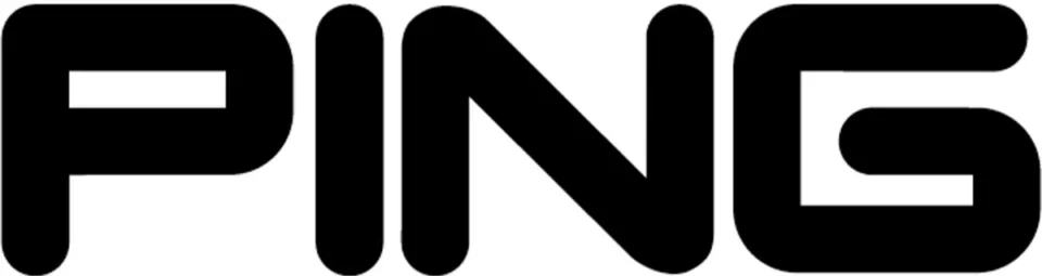 PING logo