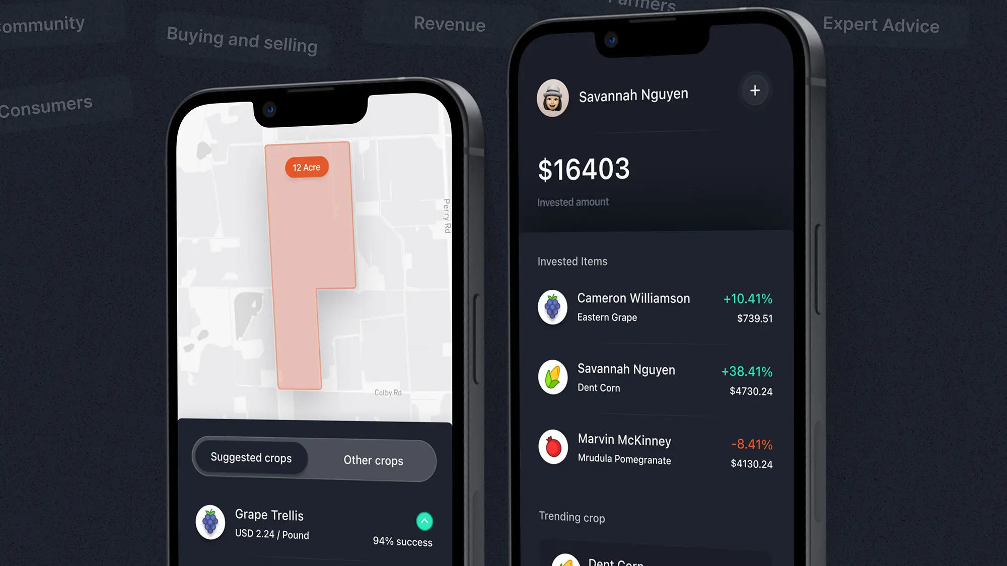 A rendering of iphones showing a few screens from the farmacy app