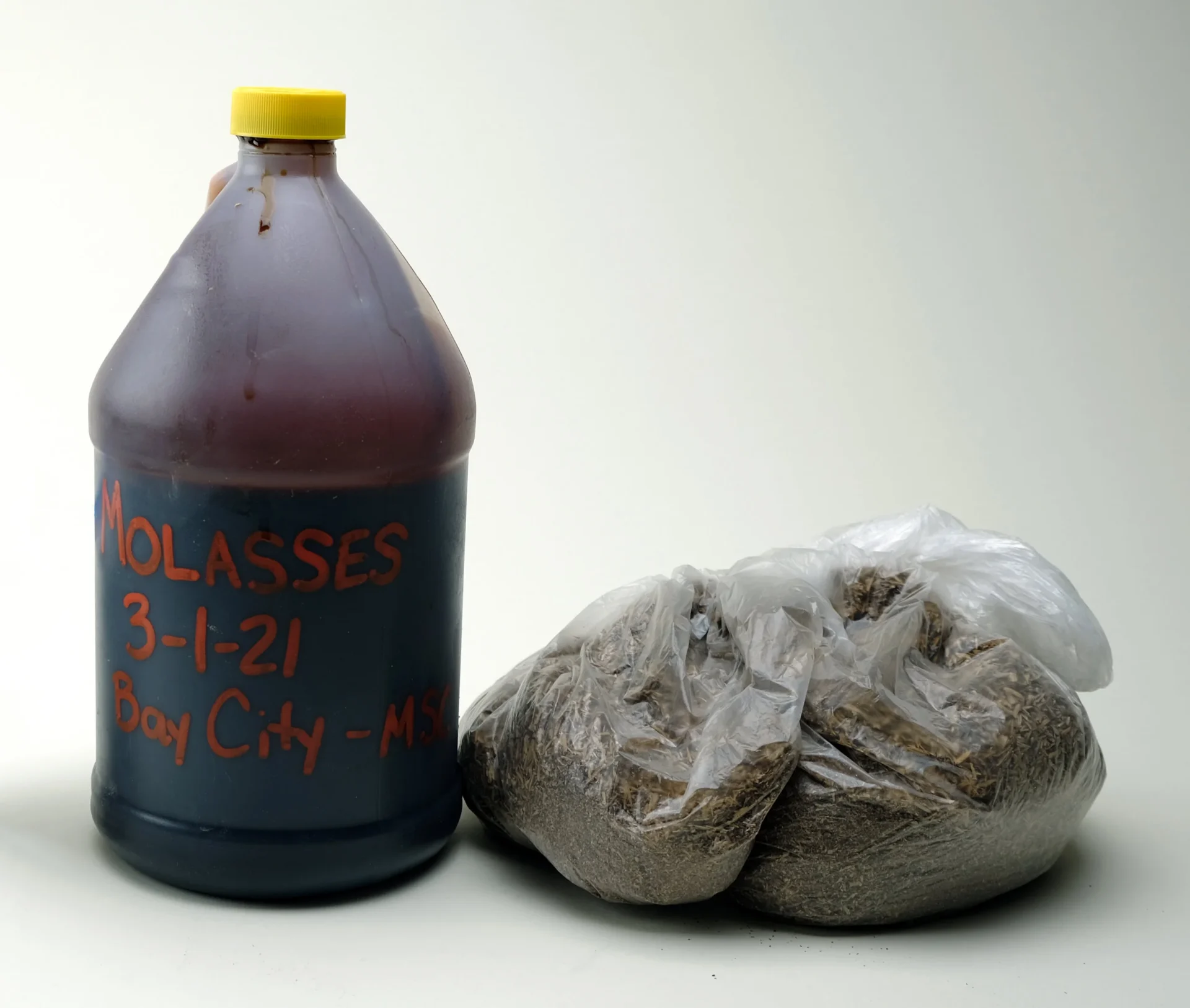 The raw materials: agricultural byproducts of sugar beet molasses and spent grain.