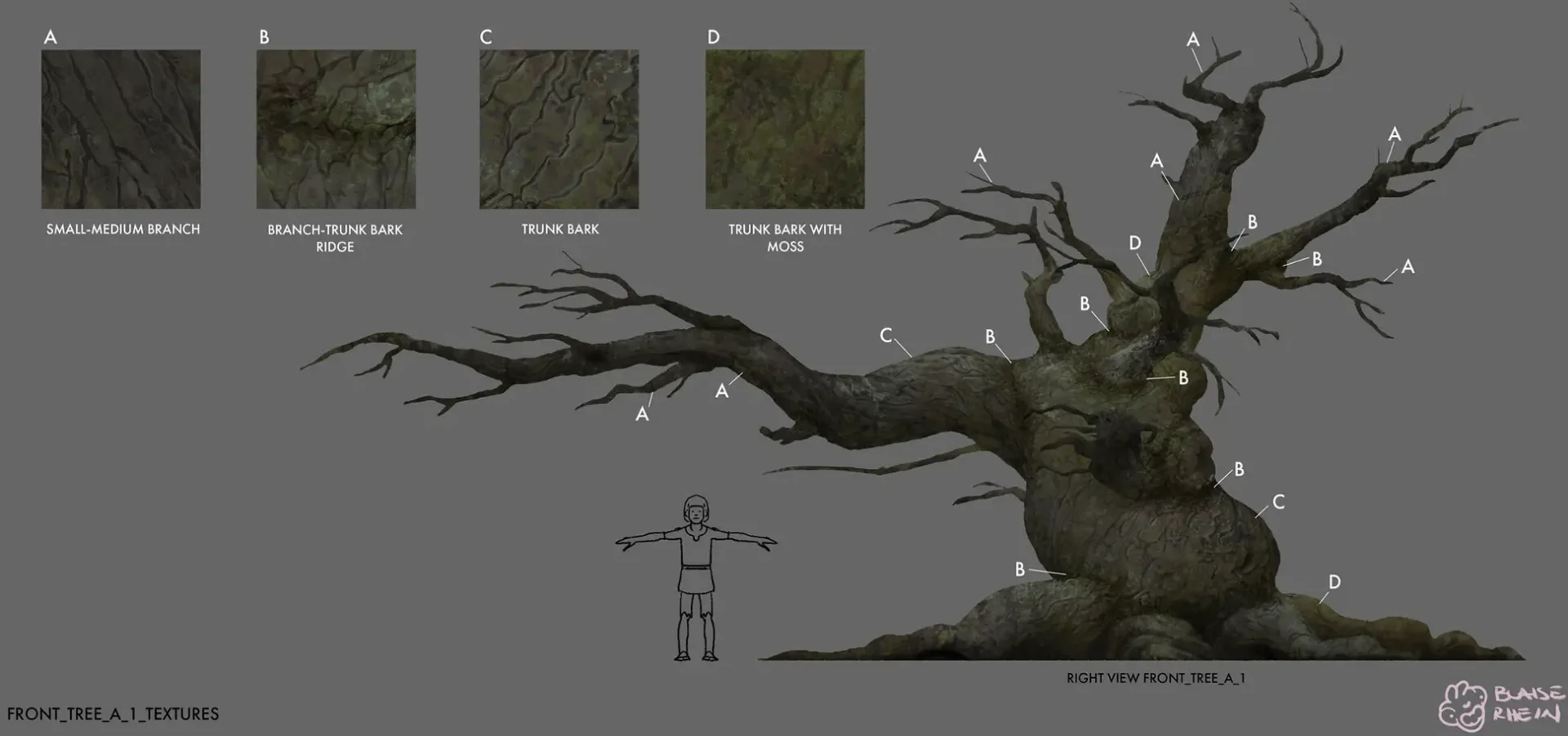 A digital rendering of an old tree