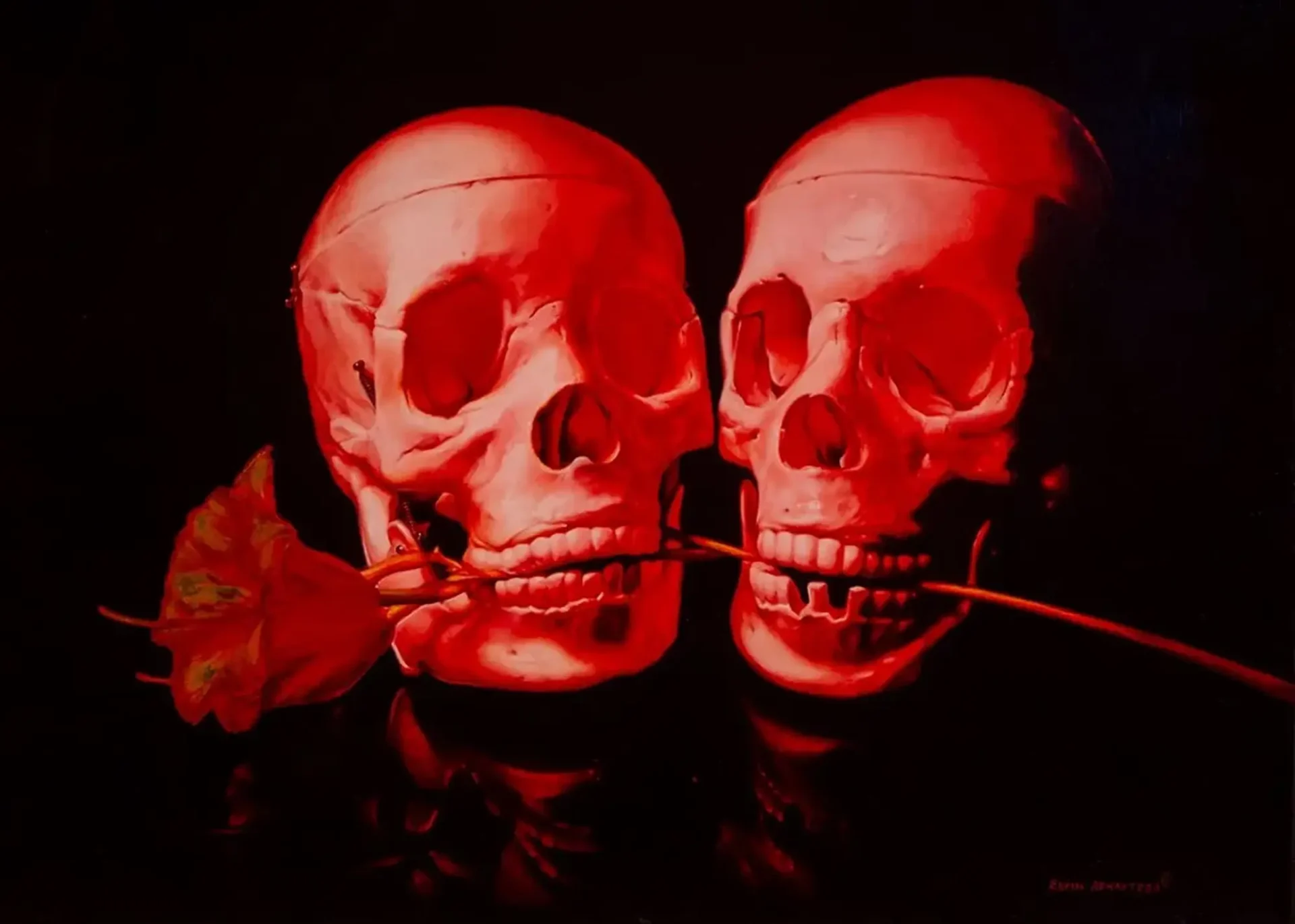 two red skulls holding a flower between their teeth