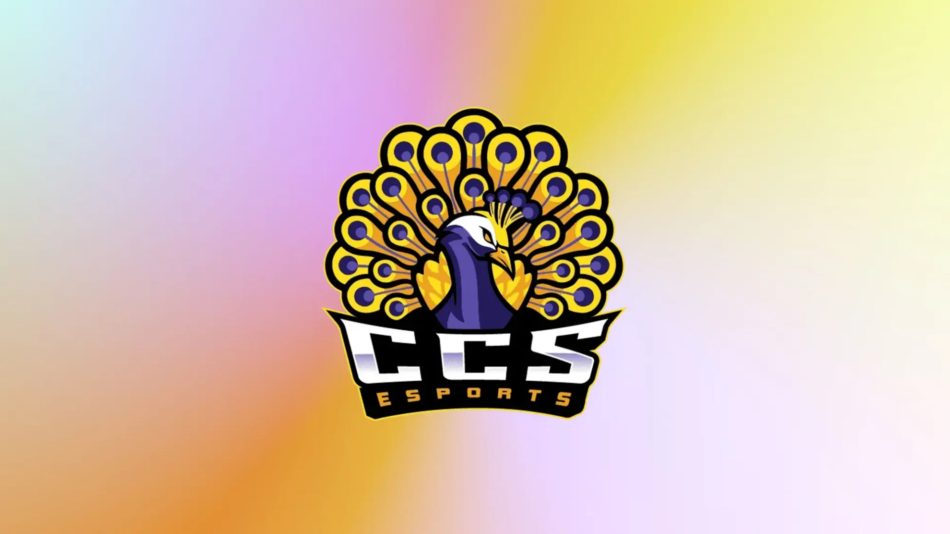 Logo for 'CCS Esports' featuring a stylized purple and white peacock with fanned yellow and purple tail feathers above blocky silver lettering.