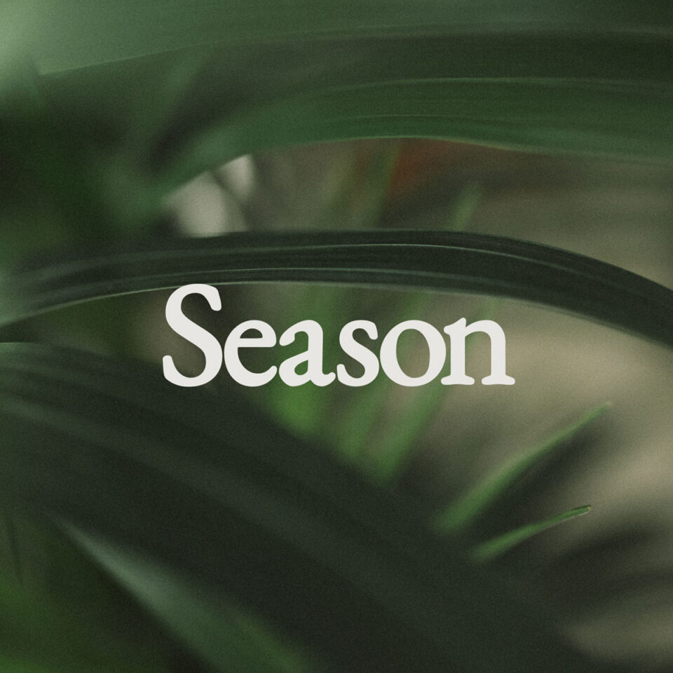 blurry brown and green plant image with the word season over top in white.