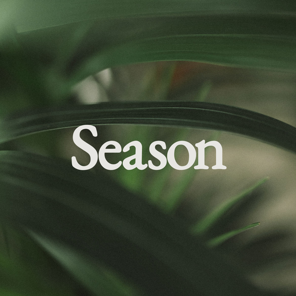 blurry brown and green plant image with the word season over top in white.